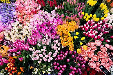 游科最新作！《黑神话：钟馗》亮相科隆展